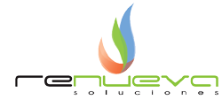 Consultora Renueva