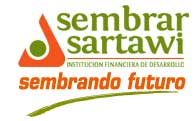 SEMBRAR SARTAWI IFD